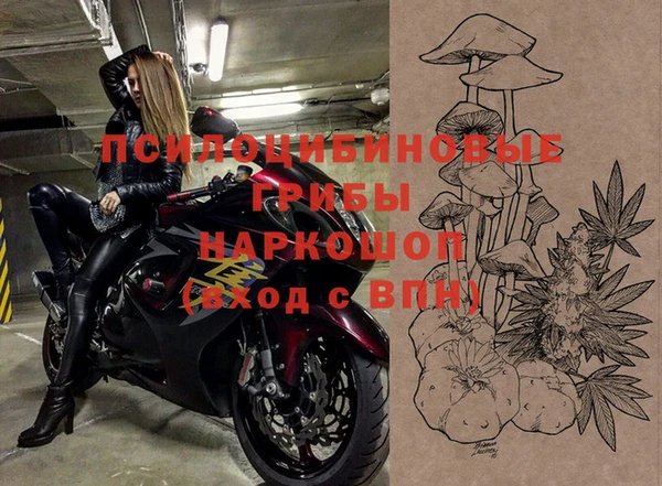 шишки Медногорск