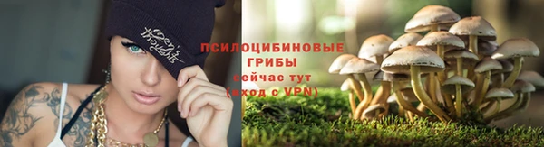 кокаин Медвежьегорск
