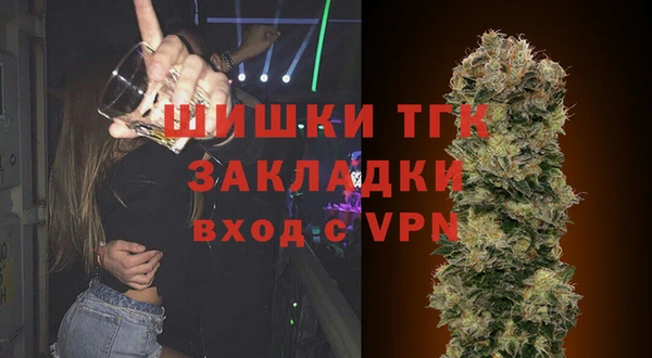 твердый Вяземский