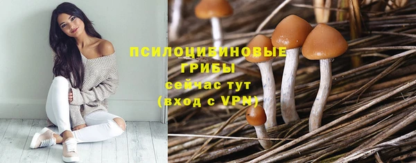 соль ск Майский