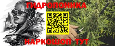 сатива Коммунар
