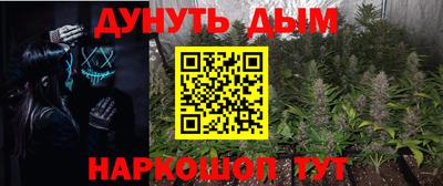 сатива Коммунар