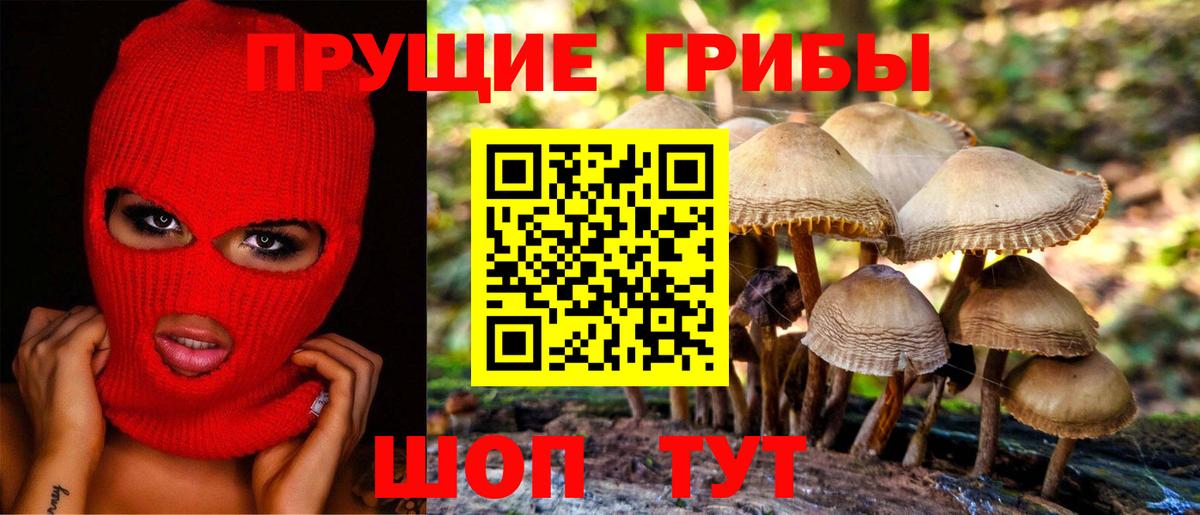 Галлюциногенные грибы MAGIC MUSHROOMS  Псилоцибиновые грибы Psilocybe  Вход с VPN  Надым 